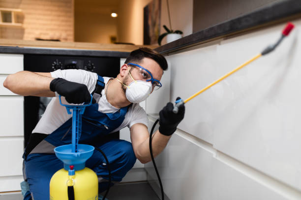 Best Affordable Pest Control Services  in Landmk, AR