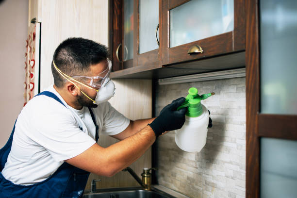 Best Pest Removal Services  in Landmk, AR