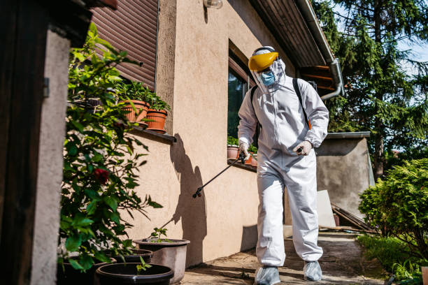 Best Best Pest Control Companies  in Landmk, AR
