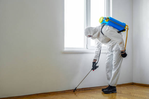 Best Pest Inspection Near Me  in Landmk, AR