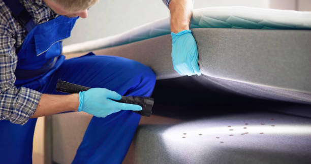 Best Bed Bug Extermination  in Landmk, AR