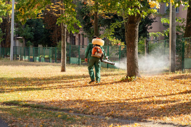 Pest Prevention Services in Landmark, AR