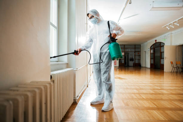 Best Pest Prevention Services  in Landmk, AR