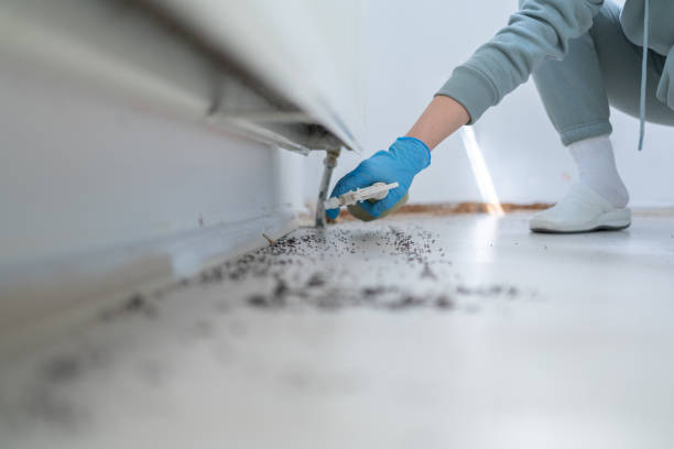 Professional Pest Control in Landmark, AR